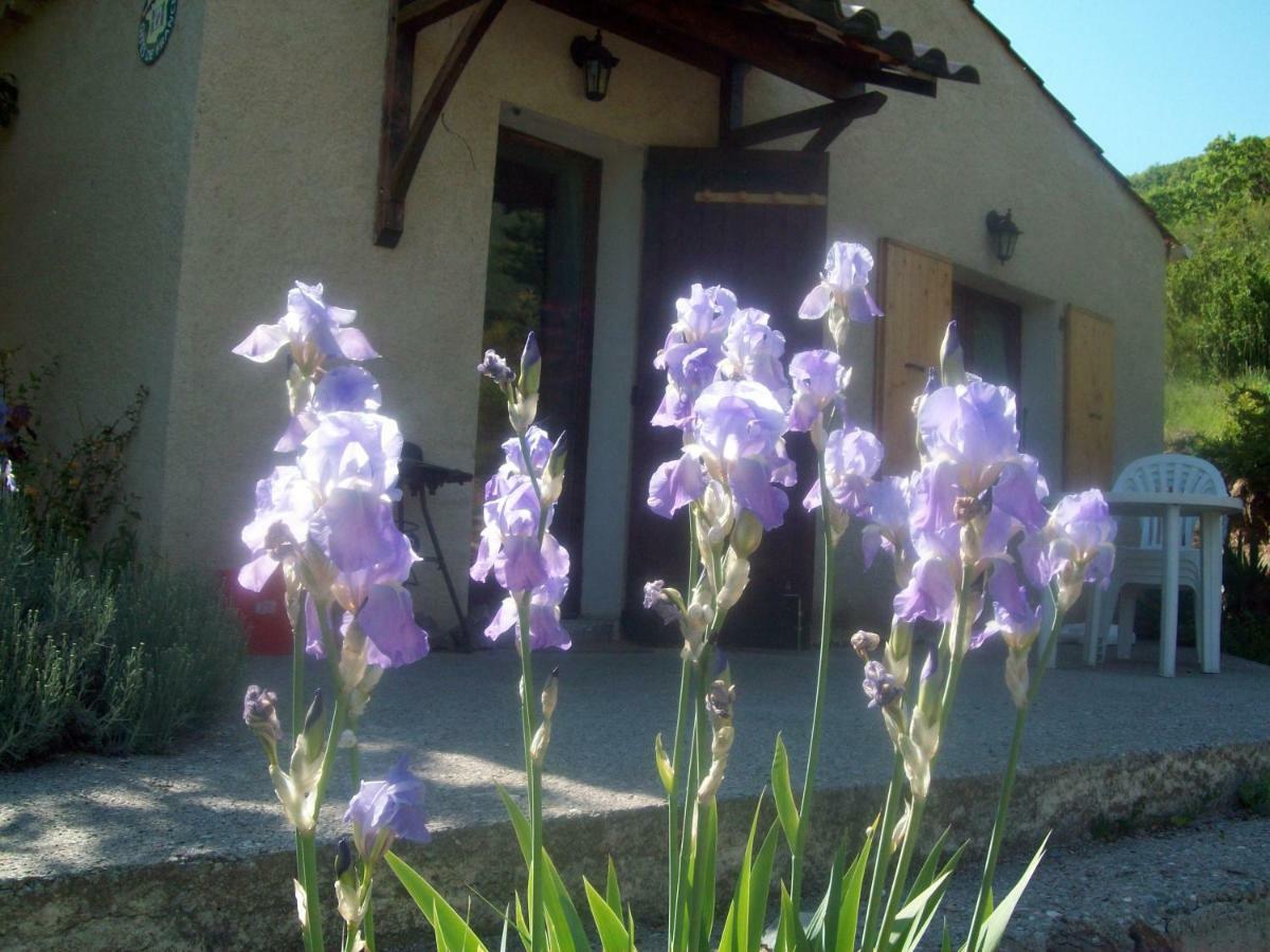 Gite Les Iris La Robine-Sur-Galabre Exterior foto